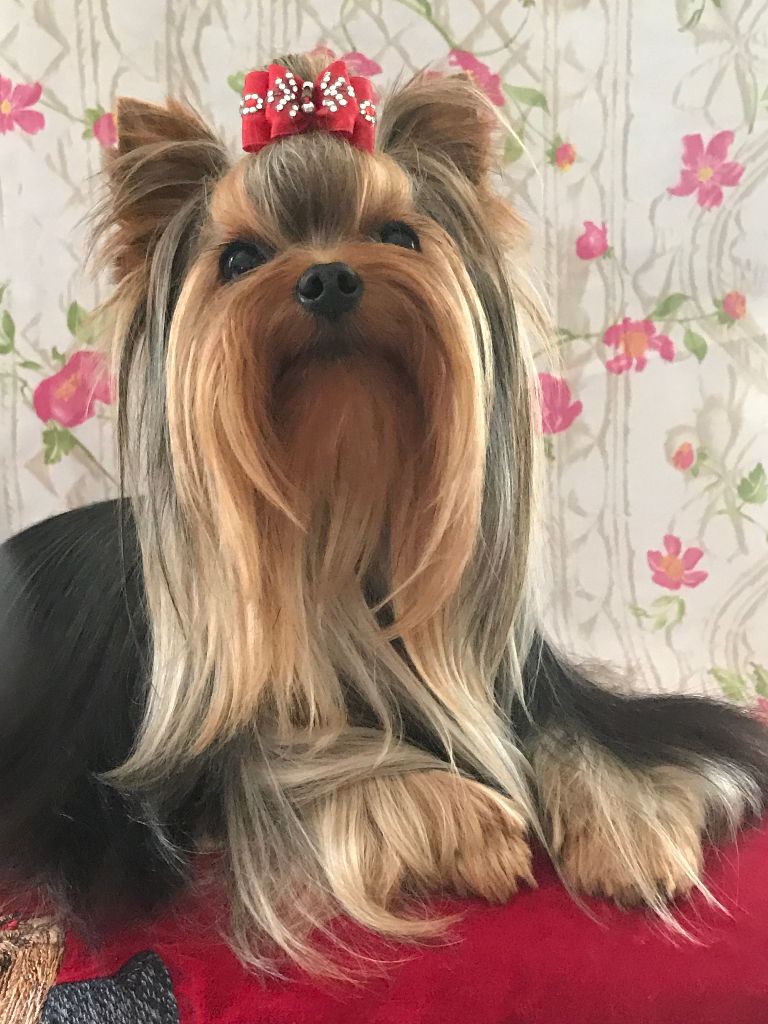 Ocarina de L'Adoree Peneloppe