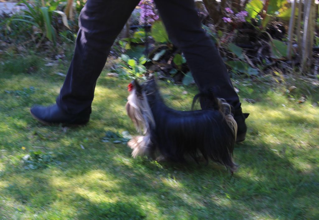Ocarina de L'Adoree Peneloppe
