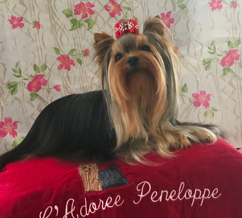 Ocarina de L'Adoree Peneloppe