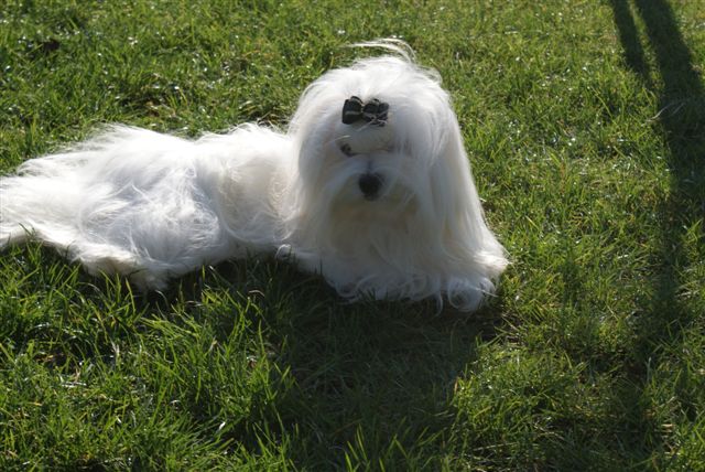 Dora de L'Adoree Peneloppe