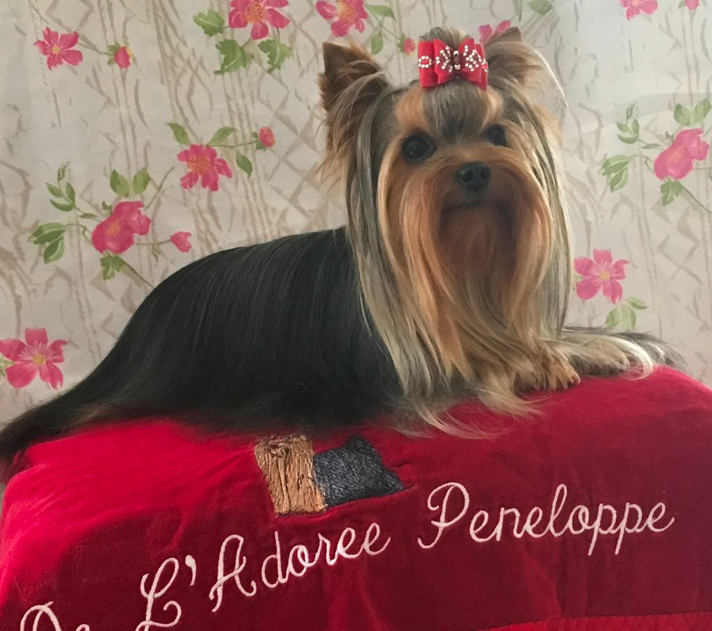 Ocarina de L'Adoree Peneloppe