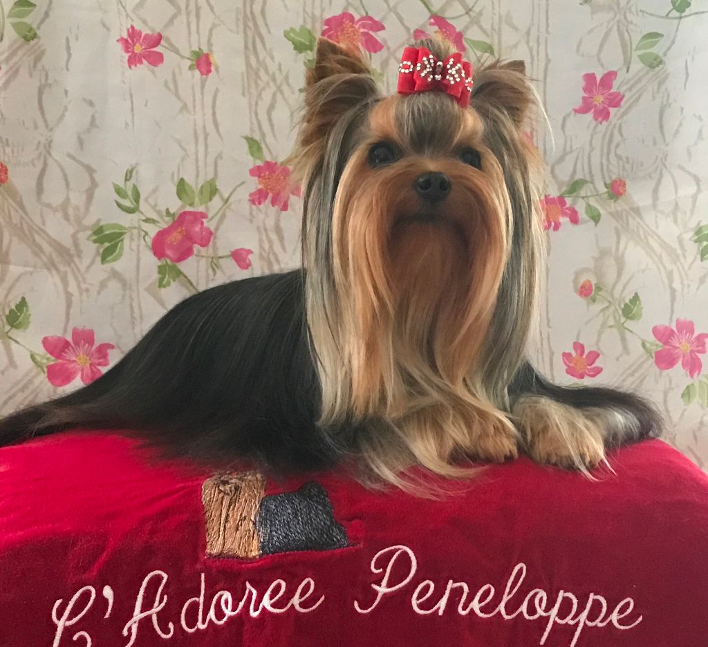 Ocarina de L'Adoree Peneloppe