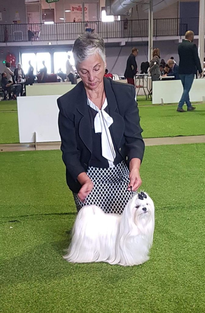 CH. Notre belle demoiselle de L'Adoree Peneloppe