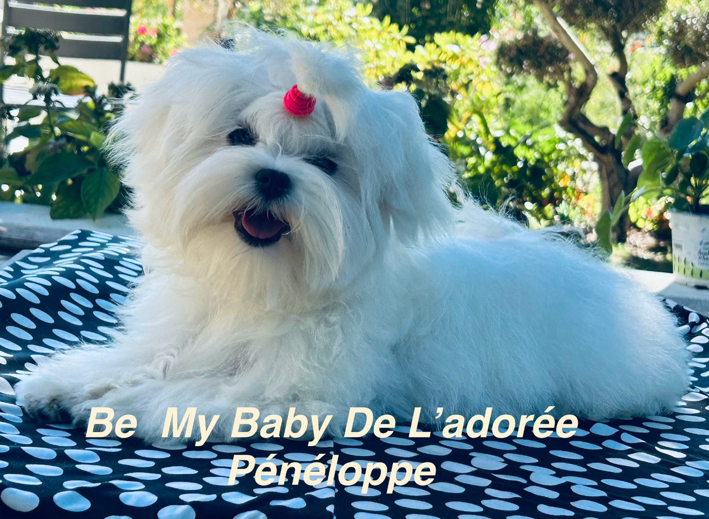 BE MY BABY