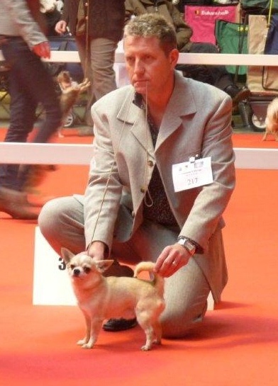 CH. Fakir****** des Petits Mickeys - EXCELLENT en classe ouverte