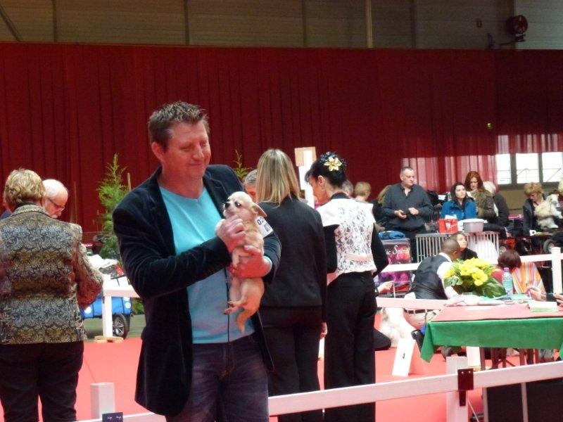 CH. Fakir****** des Petits Mickeys - 1ER EXC EN CLASSE CHAMPION