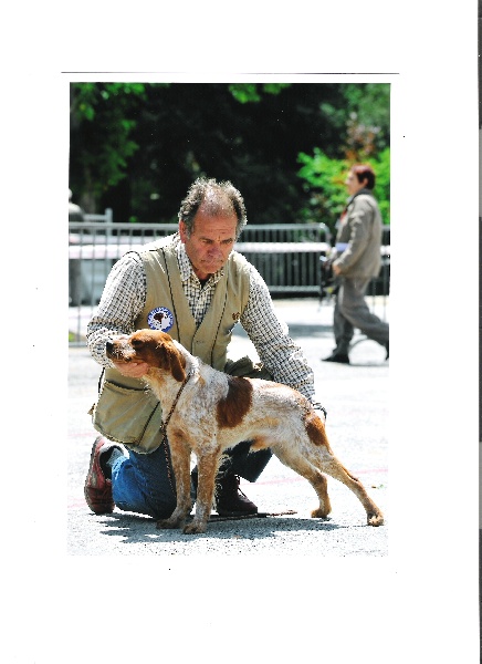 Elton de rozenn brug - 3° EXCELLENT