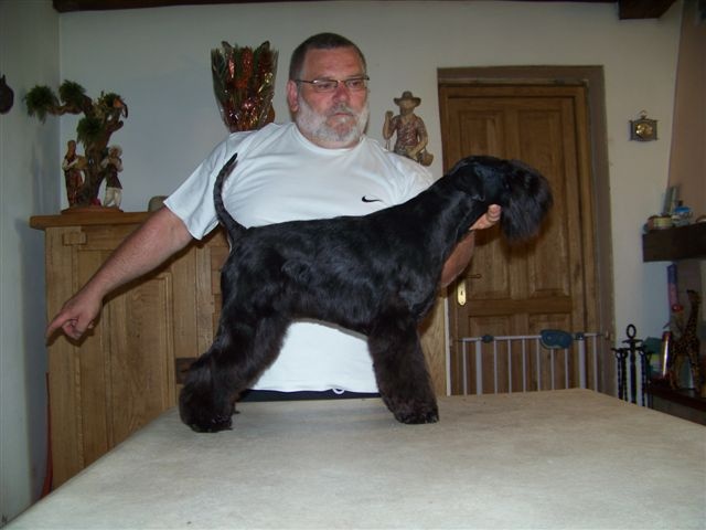 Ember 21 mois Du clos de l'ardonval - 2 eme EX RCACIB