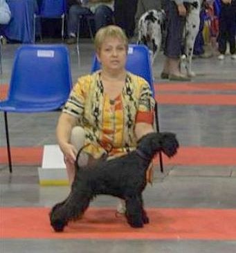 Ember 21 mois Du clos de l'ardonval - 1 ER EX CACS CACIB