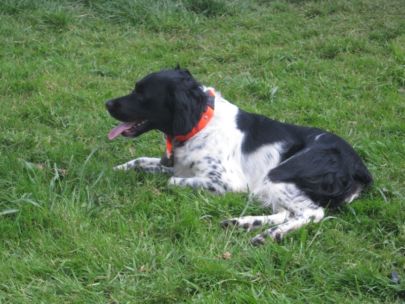 Publication : de phoïbé Auteur : Pascal GARAND