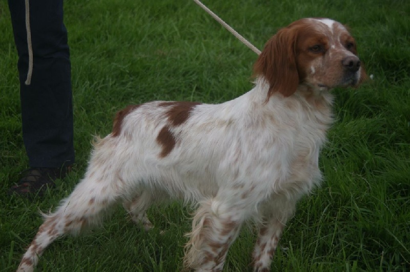 Igloo (Sans Affixe) - 2ème Excellent