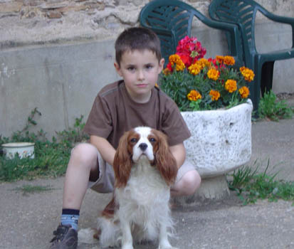 Publication : De Jereylle Auteur : BROUSSE AXELLE