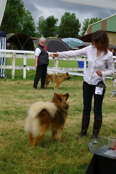 CH. Forever ichâna (Sans Affixe) - 2e exc RCACS-RCACIB