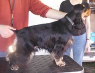 Publication : du Bois d'Achelles