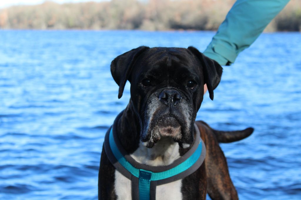 Jay-z Des Jardins Du Segala