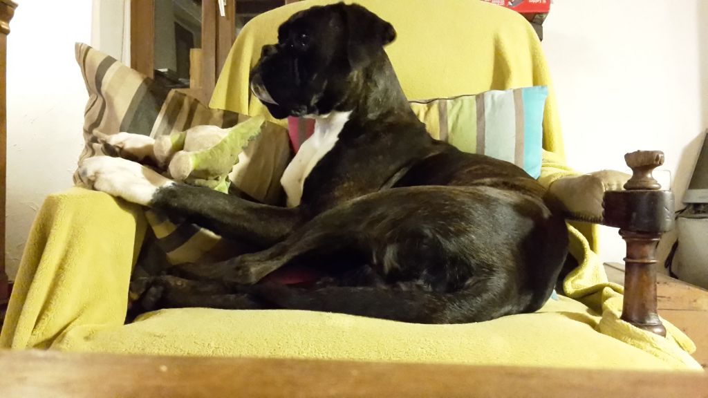 Jay-z Des Jardins Du Segala