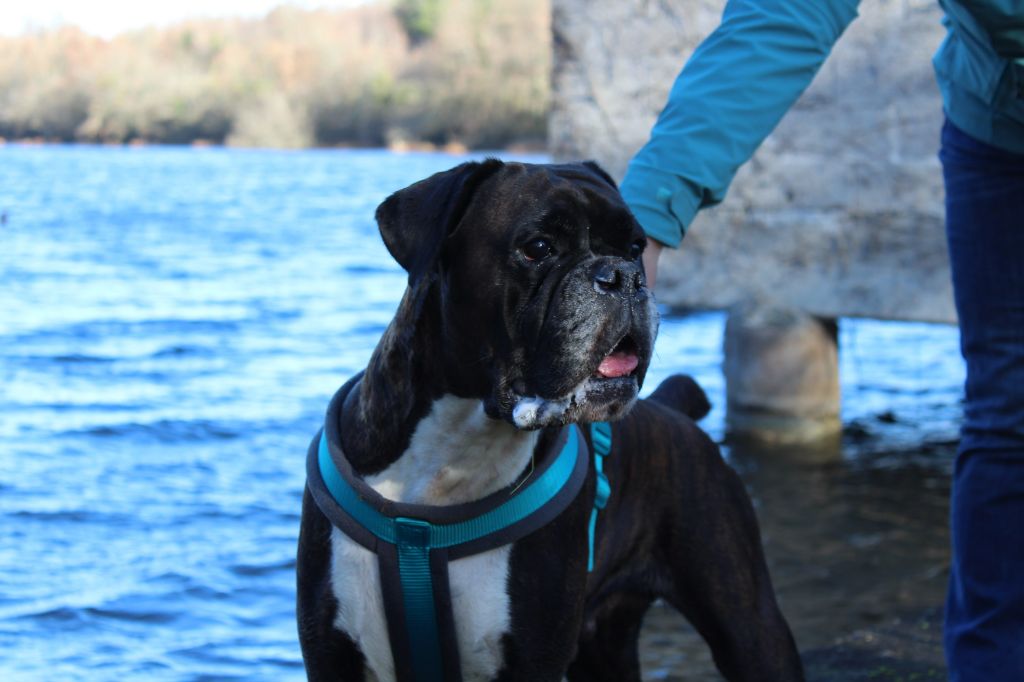 Jay-z Des Jardins Du Segala