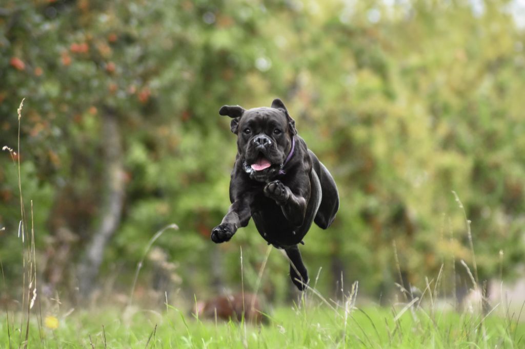 Vaya con dios du Parc de Blossac