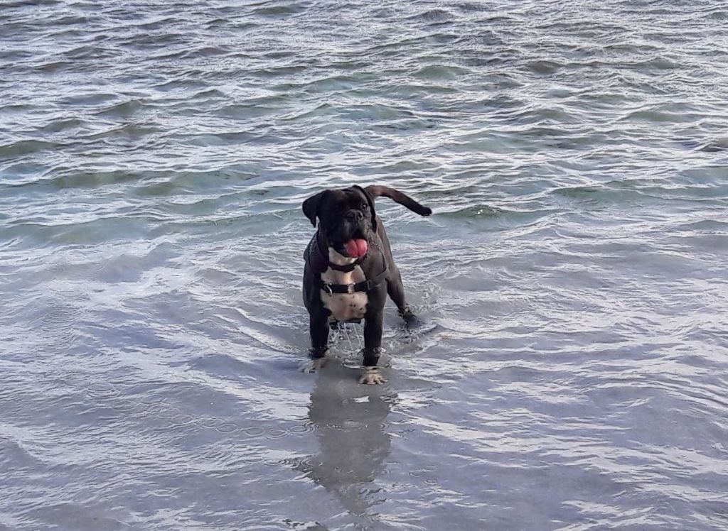 Jay-z Des Jardins Du Segala