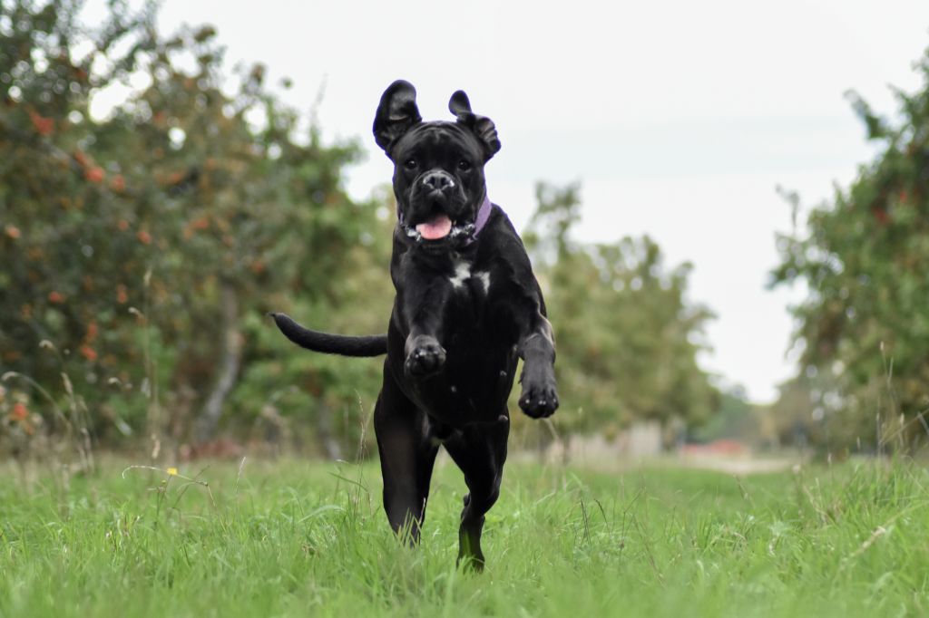 Vaya con dios du Parc de Blossac
