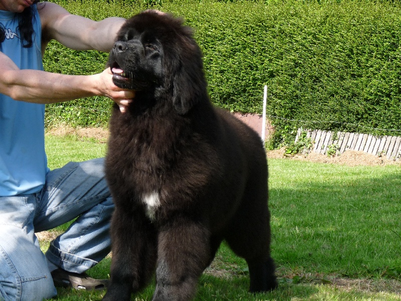 Publication : du Pays de Brocéliande Auteur : Pays de Brocéliande