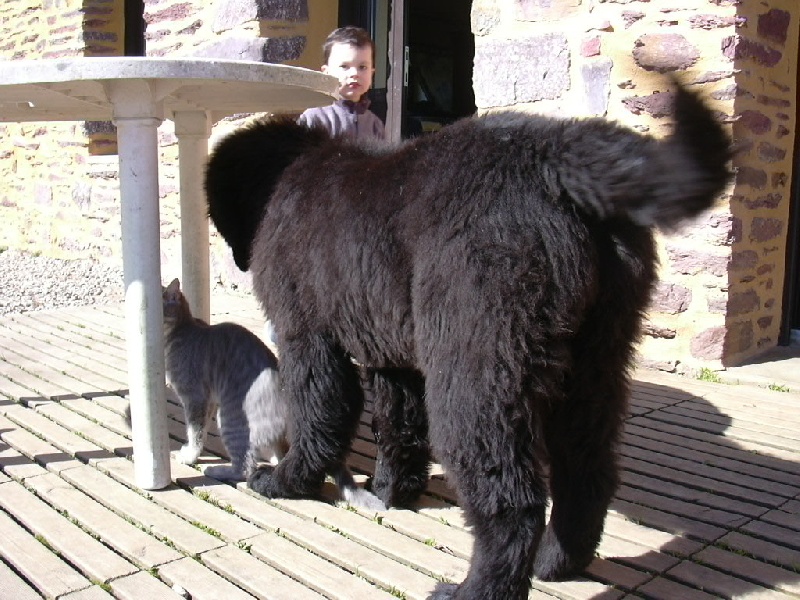 Publication : du Pays de Brocéliande