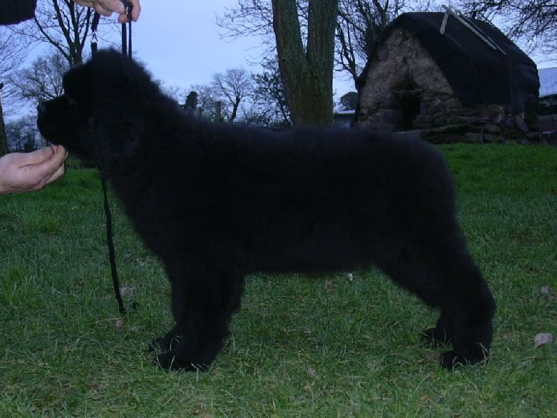 Publication : du Pays de Brocéliande