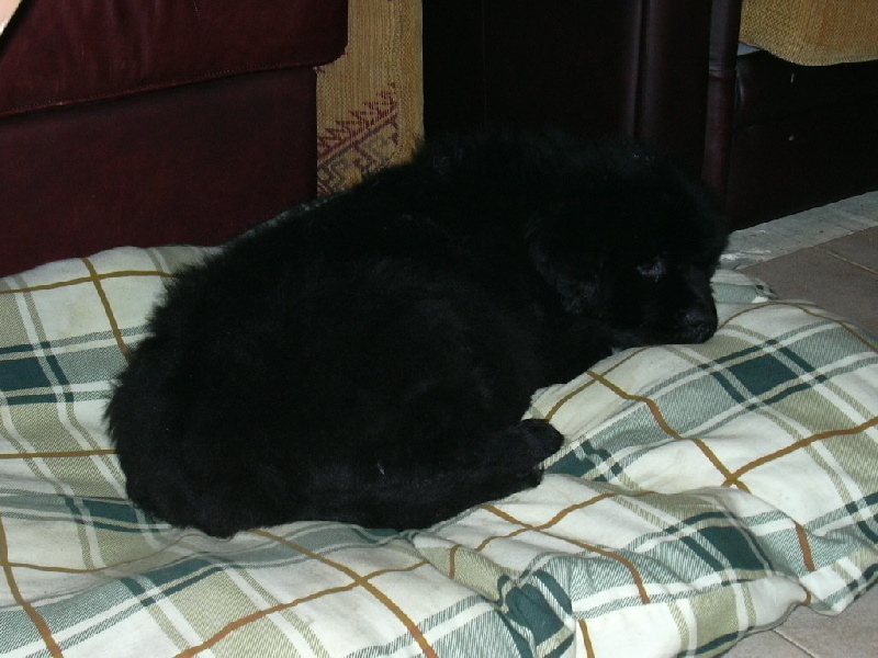 Publication : du Pays de Brocéliande