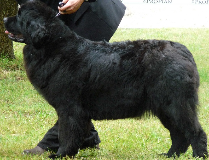 Publication : du Pays de Brocéliande