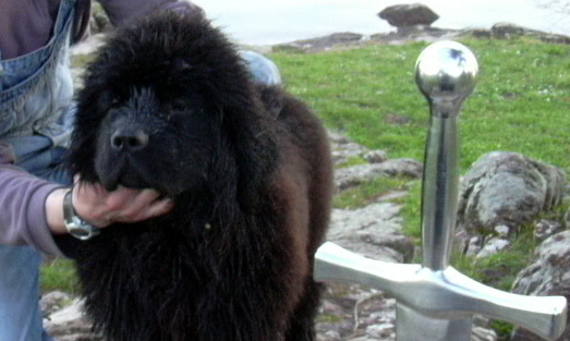 Publication : du Pays de Brocéliande