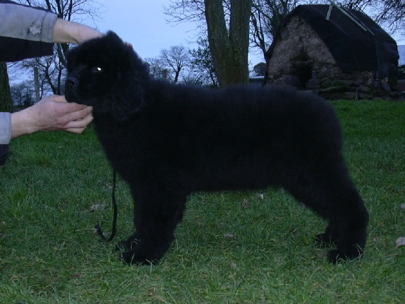 Publication : du Pays de Brocéliande