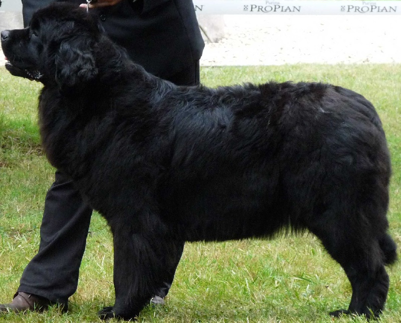 Publication : du Pays de Brocéliande