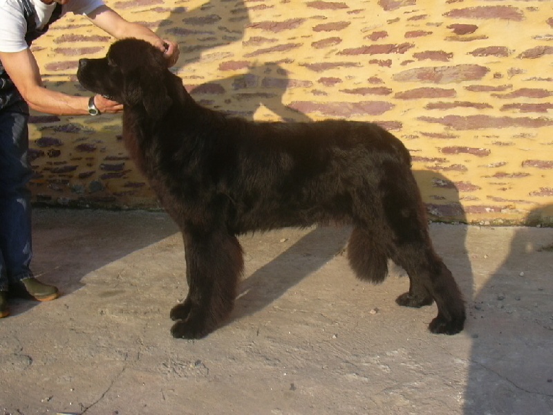 Publication : du Pays de Brocéliande