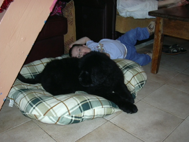 Publication : du Pays de Brocéliande