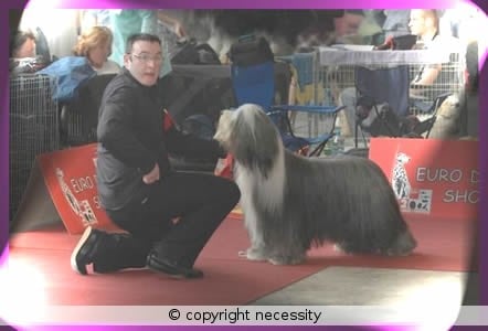 Publication : Necessity