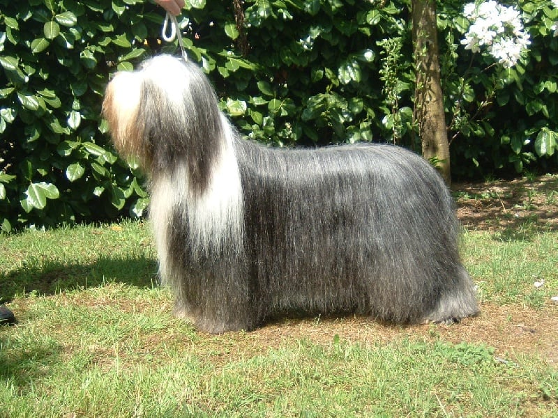 Publication : Necessity