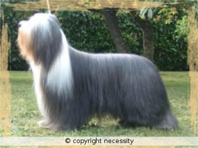 Publication : Necessity