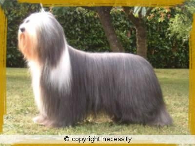 Publication : Necessity