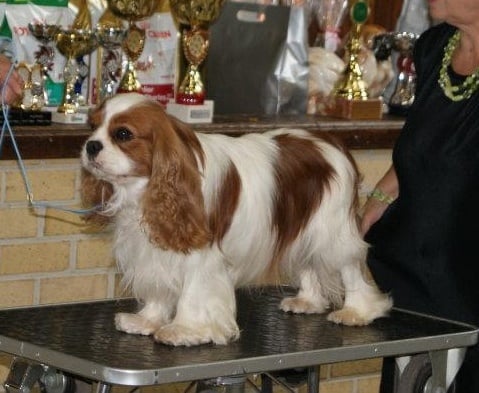 Fair play De blanc miroir - 2ème Excellent - Classe Ouverte