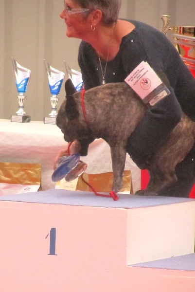 Publication : Du clos des hesperides Auteur : Martine P.