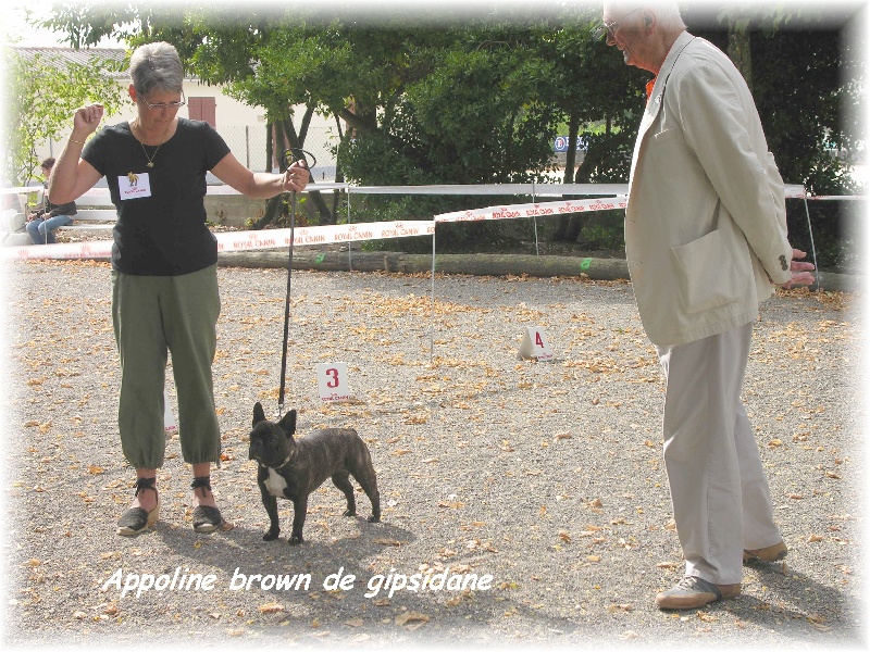 Publication : Du clos des hesperides Auteur : Martine PITON