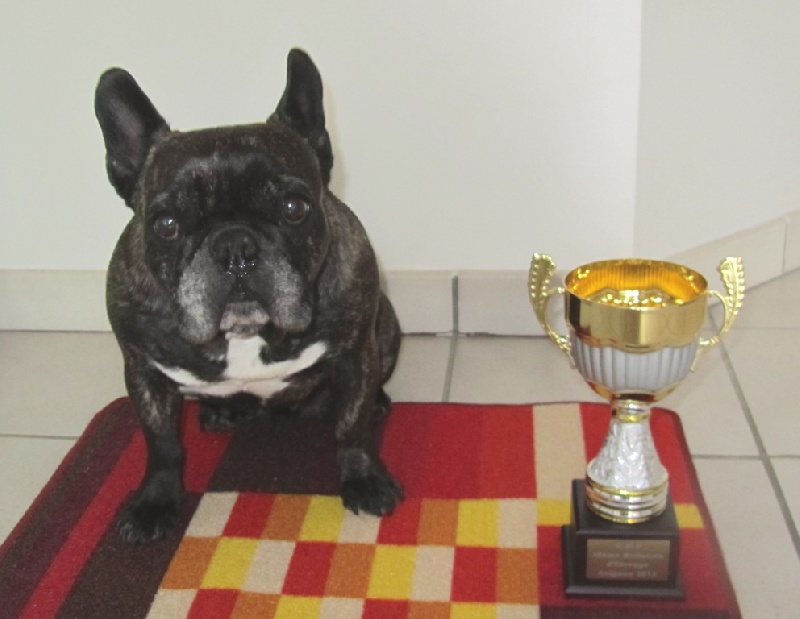 Publication : Du clos des hesperides Auteur : Martine PITON