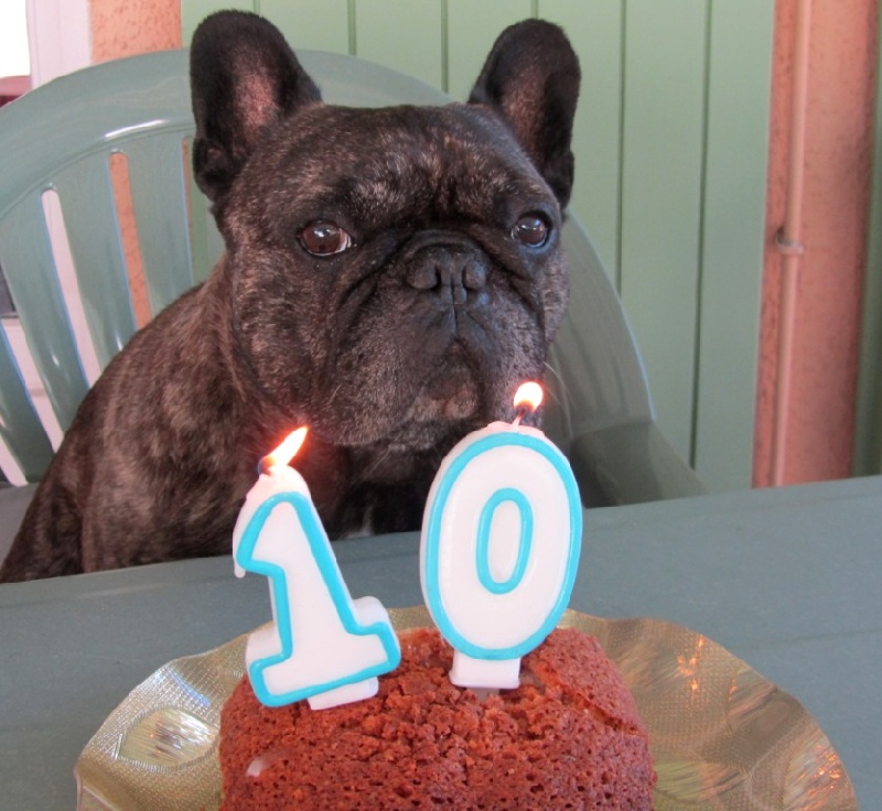 Publication : Du clos des hesperides Auteur : Martine P.