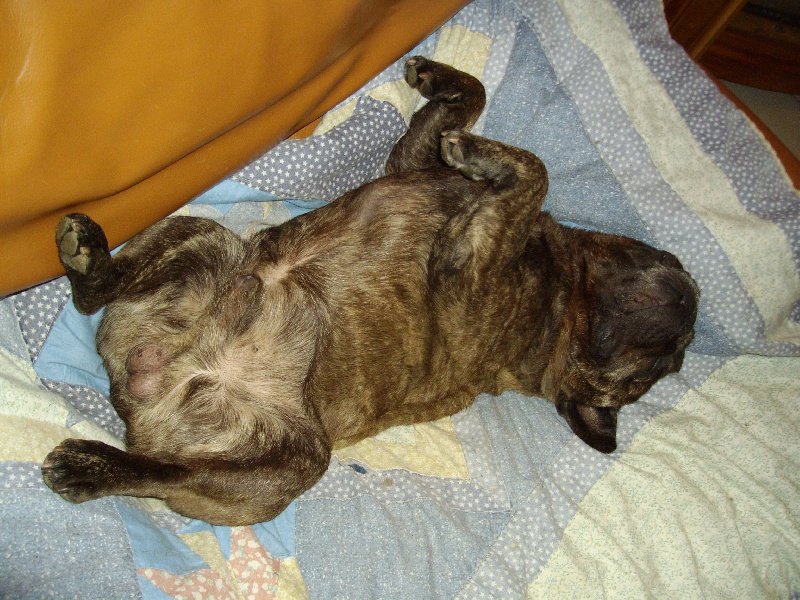 Publication : Du clos des hesperides Auteur : Martine P.