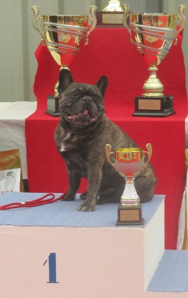 Publication : Du clos des hesperides Auteur : Martine P.