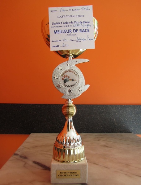 Publication : Du clos des hesperides Auteur : Martine P.