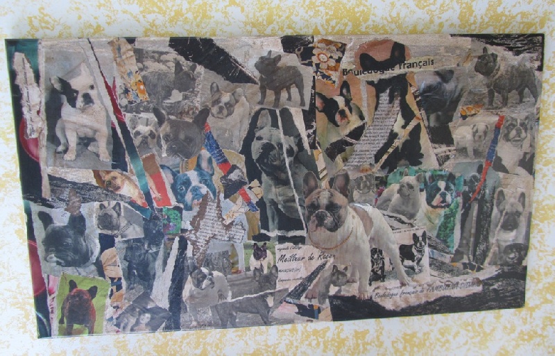 Publication : Du clos des hesperides Auteur : Martine P.