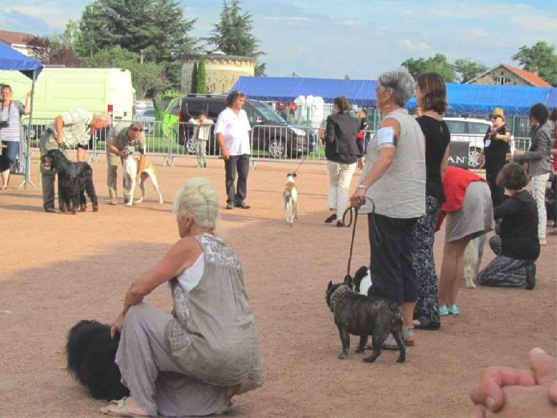 Publication : Du clos des hesperides Auteur : Martine P.