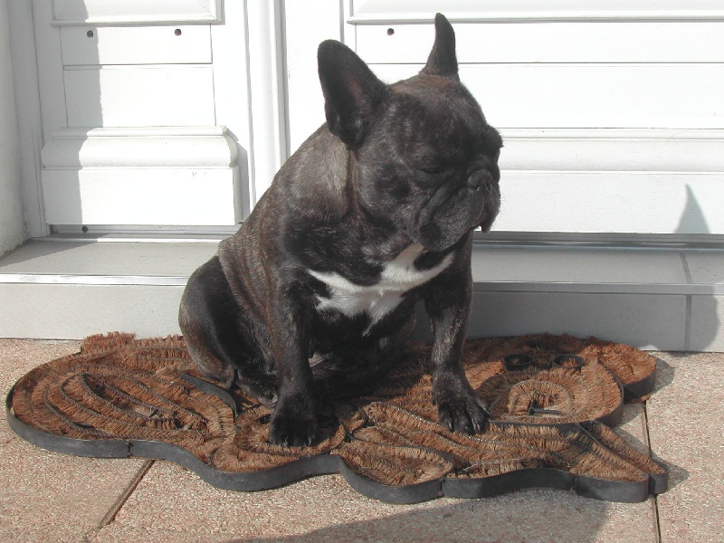 Publication : Du clos des hesperides Auteur : Martine PITON