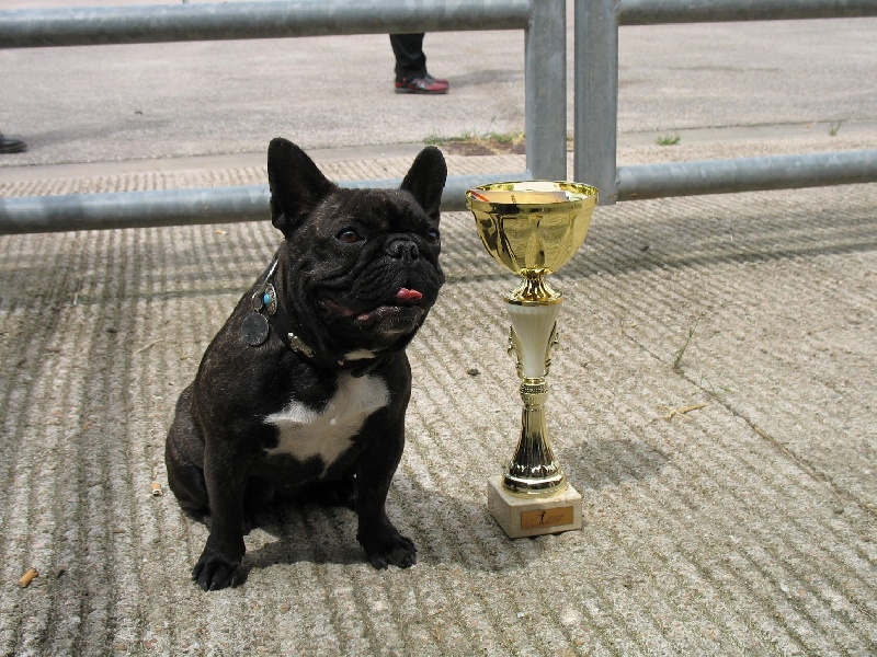 Publication : Du clos des hesperides Auteur : Martine PITON